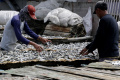 Produksi Ikan Asin di Muara Angke Menurun 