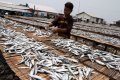 produksi-ikan-asin-pada-musim-kemarau_20170911_195105.jpg