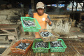 produksi-ikan-cue-di-muara-baru_20240427_214330.jpg