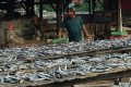 produksi-ikan-cue-di-muara-baru_20240427_214413.jpg