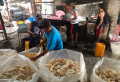 Produksi Kerupuk Blek di Pabrik Jaya Putra