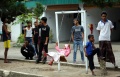 Proses Pemindahan Imigran Etnis Rohingya di Medan