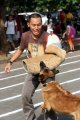 Purina Alpo Dog Run 2015