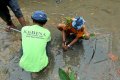 Reklamasi di Batam Paksa Ribuan Bakau Direlokasi