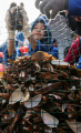 restorasi-kerang-hijau-untuk-pelestarian-laut-ancol_20240428_164345.jpg