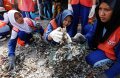 restorasi-kerang-hijau-untuk-pelestarian-laut-ancol_20240428_164354.jpg