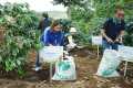 revitalisasi-kebon-kopi-cikoneng_20240611_145125.jpg