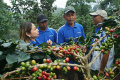 revitalisasi-kebon-kopi-cikoneng_20240611_145219.jpg