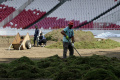 revitalisasi-rumput-stadion-utama-gelora-bung-karno_20240626_194412.jpg