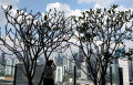 revitalisasi-rumput-stadion-utama-gelora-bung-karno_20240626_204144.jpg
