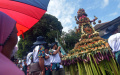 Ribuan Warga Berebut Durian saat Kenduren Wonosalam