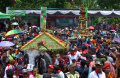 Ribuan Warga Berebut Durian saat Kenduren Wonosalam