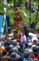 Ribuan Warga Berebut Durian saat Kenduren Wonosalam