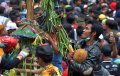 Ribuan Warga Berebut Durian saat Kenduren Wonosalam