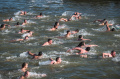 Ritual Berenang di Air Dingin Umat Ortodoks Serbia
