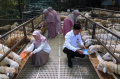 rumah-zakat-luncurkan-hebatberqurban-idul-adha-1445-h_20240530_201941.jpg
