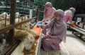 Rumah Zakat Luncurkan #HebatBerqurban Idul Adha 1445 H