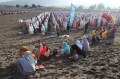 Salat Idul Fitri 1443 H di Gumuk Pasir Parangtritis