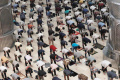 salat-jumat-saat-ppkm-level-3_20220211_163204.jpg