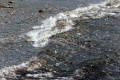 Sampah Plastik Banjiri Pantai Kedonganan Bali