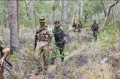 satgas-pamtas-yonif-411-kostrad-patroli-patok-bersama-tentara-pn_20190902_125440.jpg