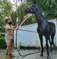 sejahterakan-satwa-irfan-hakim-sukses-membangun-aviary_20211119_171251.jpg