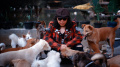 shelter-animal-defenders-doni-untuk-rescue-kucing-dan-anjing_20220929_114350.jpg