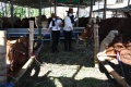 spg-cantik-layani-pembeli-hewan-kurban-di-kandang-sapi-widistia_20200724_110225.jpg