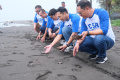 suasana-pelepasan-tukik-di-gianyar-bali_20240611_212552.jpg