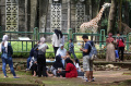 Suasana Taman Margasatwa Ragunan Saat Libur Natal