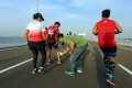 Super Ball Run 2017