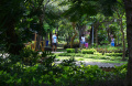 taman-harmoni-tetap-dirawat-meski-pengunjung-berkurang_20240208_231155.jpg