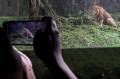 Taman Safari Bogor Tujuan Wisata Libur Lebaran 2024