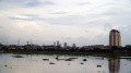 Tanaman Eceng Gondok Tumbuh Liar di Waduk Pluit Penjaringan