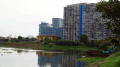 Tanaman Eceng Gondok Tumbuh Liar di Waduk Pluit Penjaringan