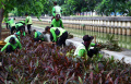 target-perluasan-ruang-tebuka-hijau-di-jakarta_20221003_184715.jpg