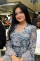 Thavia Luncurkan Single Rahasia