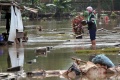 TPU Jeruk Purut Kembali Terendam Banjir