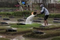 TPU Jeruk Purut Kembali Terendam Banjir