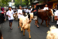 Tradisi Arak-arakan Hewan Kurban Warga Sukoharjo Kota Malang