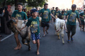 tradisi-arak-arakan-hewan-kurban_20240617_103908.jpg