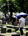 Tukang Bersih Makam Jelang Bulan Suci Ramadan 1443H