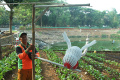 ubah-limbah-botol-plastik-jadi-hiasan_20240430_165018.jpg