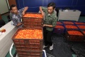 Ungkap Kasus Penimbunan Cabai