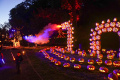 Uniknya Ukiran Labu Halloween di Great Jack O Lantern Blaze