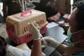 Vaksinasi Rabies Gratis untuk Hewan Peliharaan