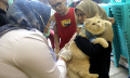 Vaksinasi Rabies Hewan Peliharaan Warga Jakarta