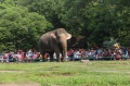 Warga Memadati Taman Margasatwa Ragunan