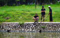 Warga Menjaring dan Memancing Ikan di Danau Tiga Raksa