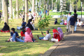 Wisata Edukasi Saat Liburan Sekolah di Monas